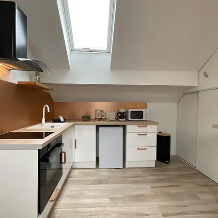 Apartamento Eichthal 3 - - Quais De Sarthe - Proche Gare - 2 Pers *